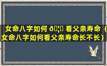 女命八字如何 🦊 看父亲寿命（女命八字如何看父亲寿命长不长）